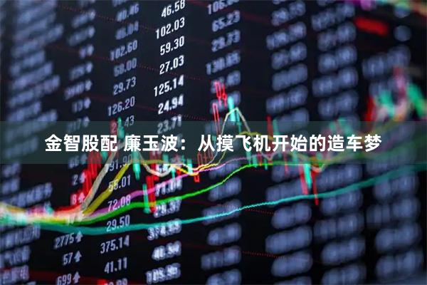 金智股配 廉玉波：从摸飞机开始的造车梦