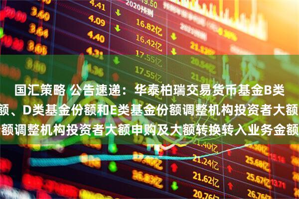 国汇策略 公告速递：华泰柏瑞交易货币基金B类基金份额、C类基金份额、D类基金份额和E类基金份额调整机构投资者大额申购及大额转换转入业务金额限制