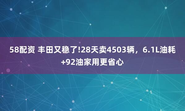 58配资 丰田又稳了!28天卖4503辆，6.1L油耗+92油家用更省心