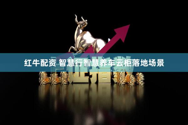 红牛配资 智慧行智慧养车云柜落地场景