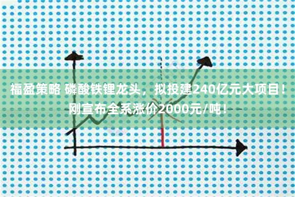 福盈策略 磷酸铁锂龙头,拟投建240亿元大项目!刚宣布全系涨价2000元/吨!